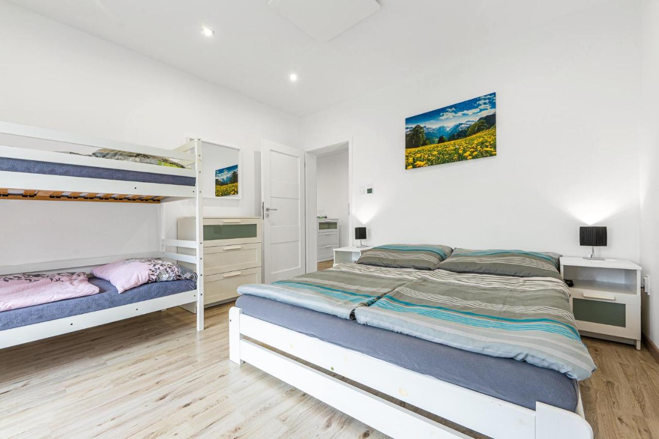 Wellness Villa Klinovec Views Лоучна-под-Кліновцем Екстер'єр фото